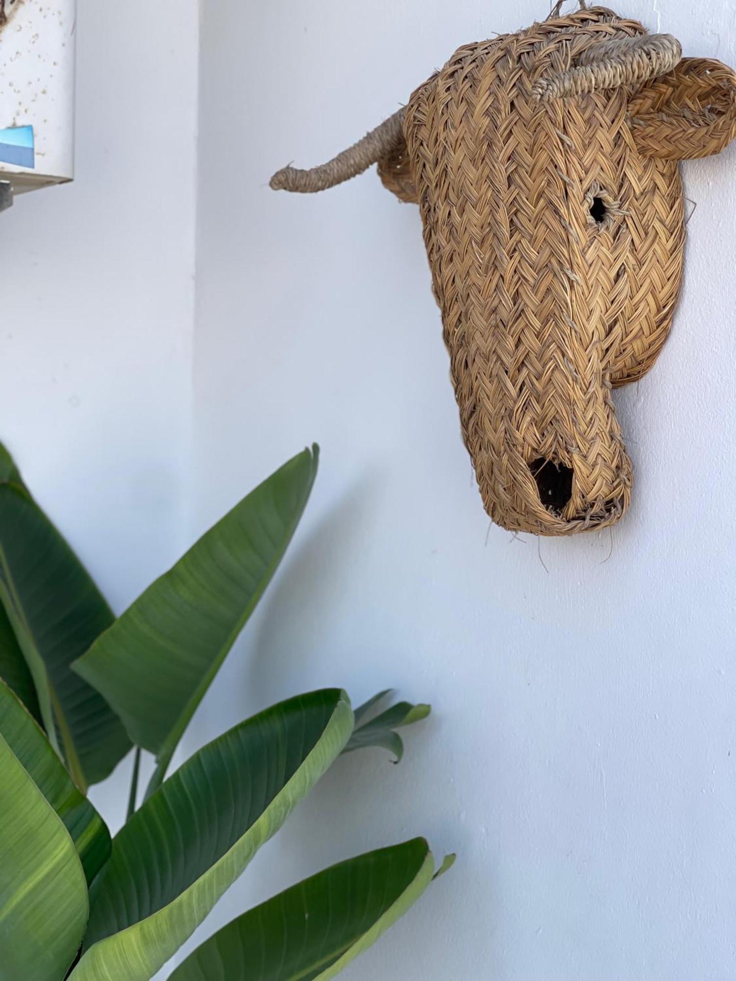 Freebirds Hostel Tamraght Dış mekan fotoğraf